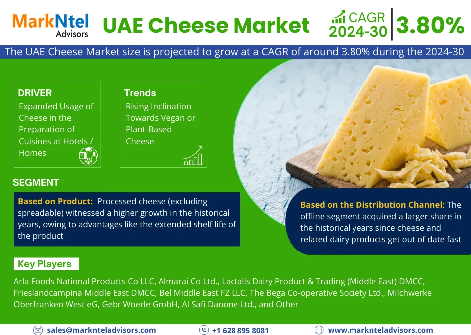 UAE Cheese Market Size, Trends & Growth Analysis [20242030]