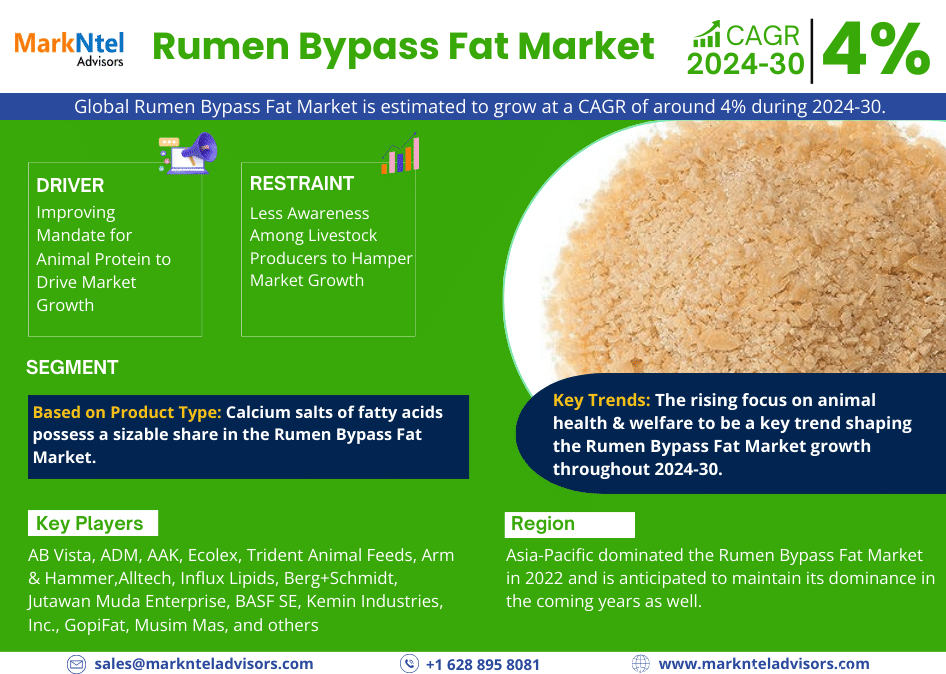 Global Rumen Bypass Fat Market Research Report: Forecast (2024-2030)