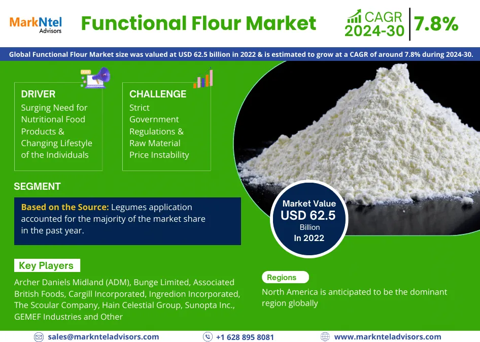 Global Functional Flour Market Research Report: Forecast (2024-2030)
