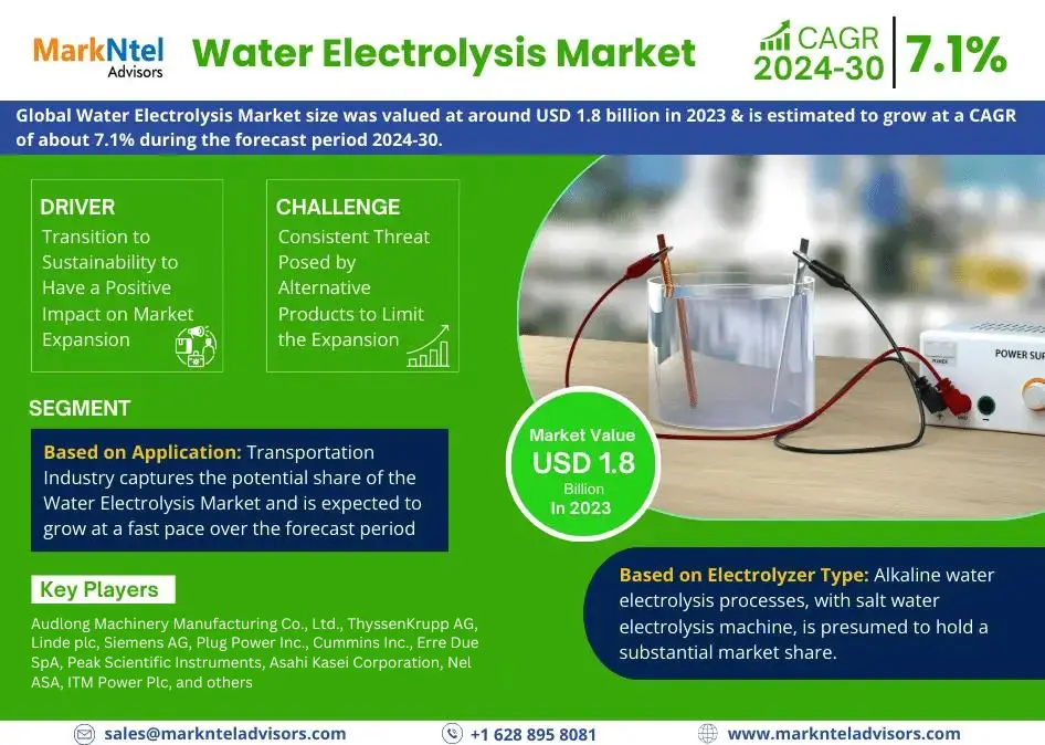Global Water Electrolysis Market Research Report: Forecast (2024-2030)