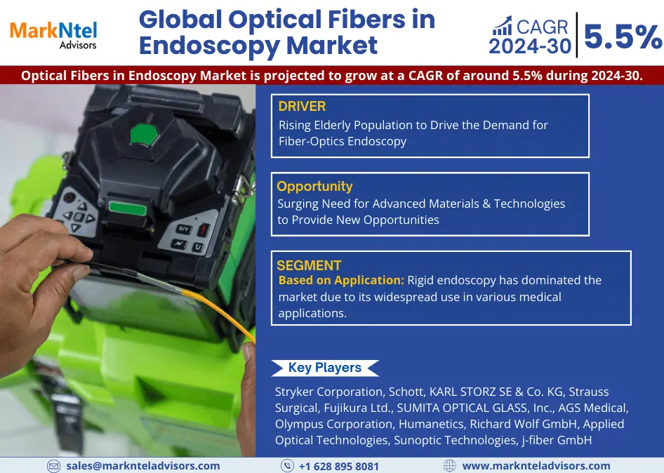 Global Optical Fibers in Endoscopy Market Research Report: Forecast (2024-2030)