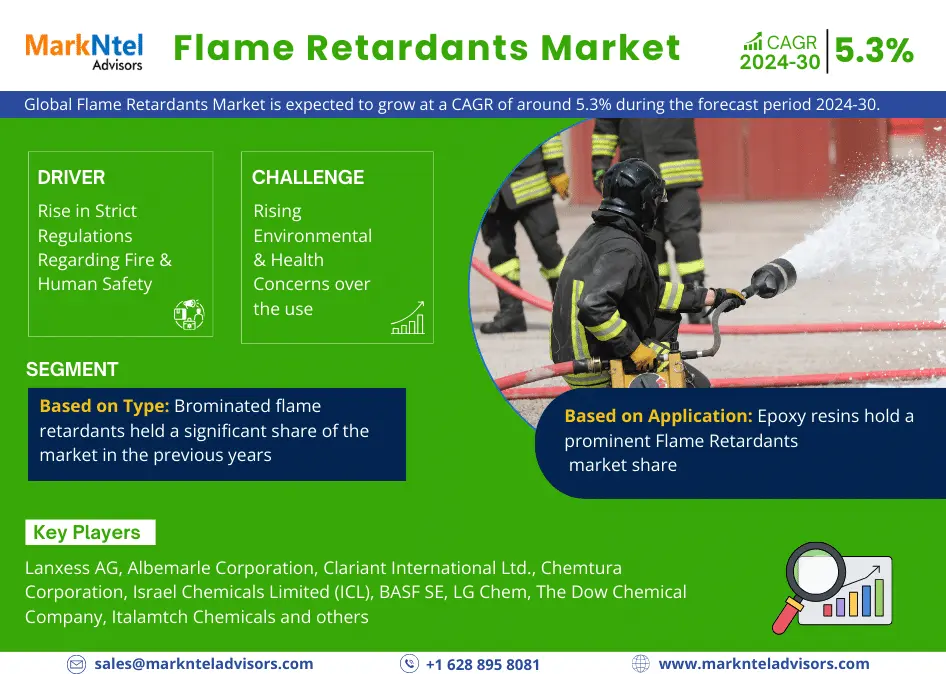 Global Flame Retardants Market Research Report: Forecast (2024-2030)