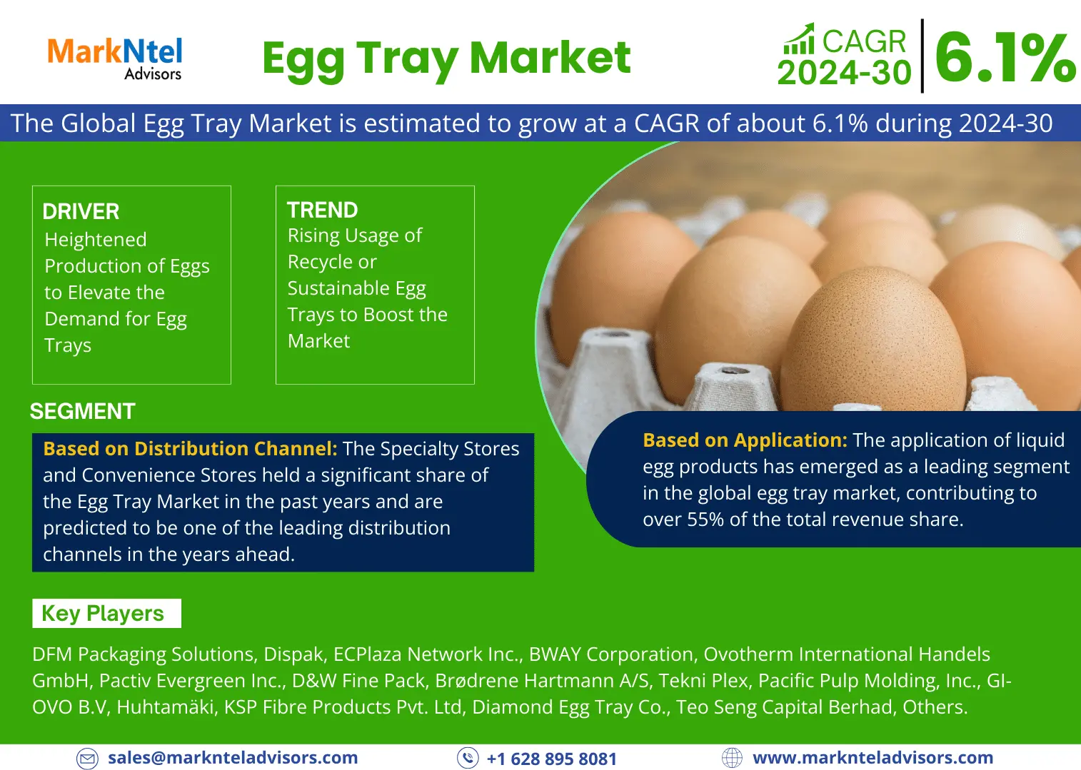 Global Egg Tray Market Research Report: Forecast (2024-2030)