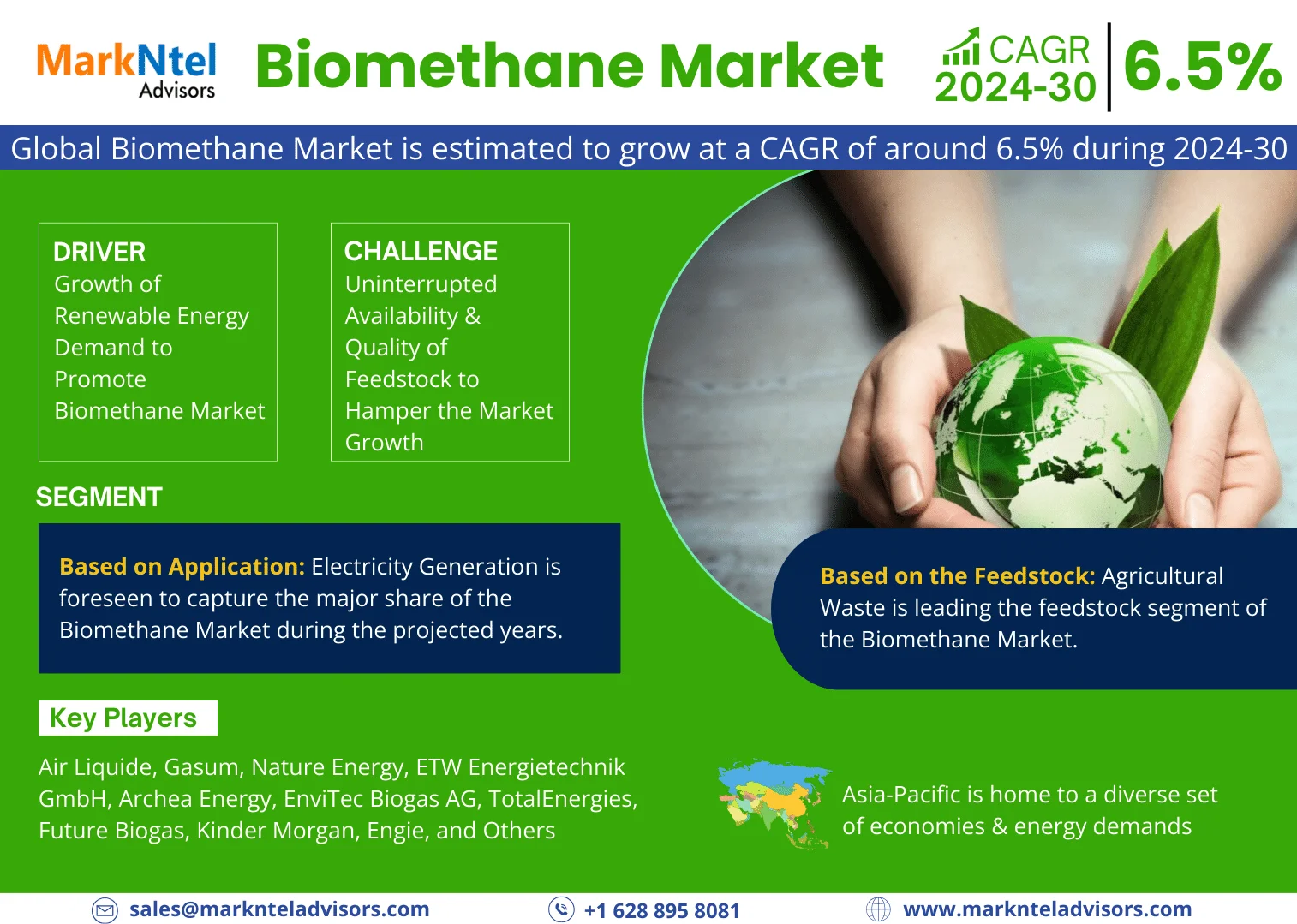 Global Biomethane Market Research Report: Forecast (2024-2030)