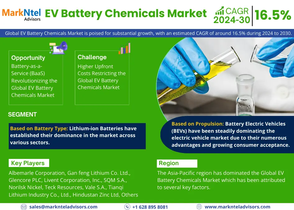 Global EV Battery Chemicals Market Research Report: Forecast (2024-2030)
