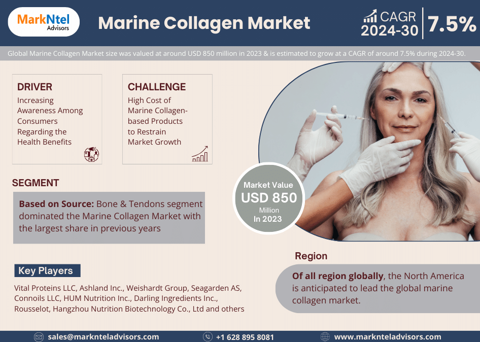 Global Marine Collagen Market Research Report: Forecast (2024-2030)