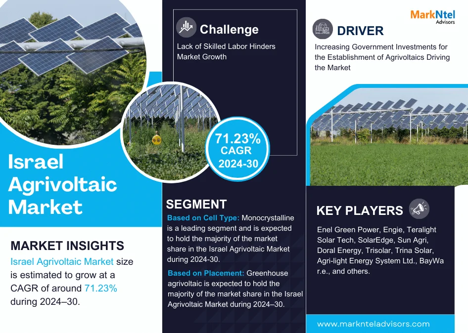 Israel Agrivoltaic Market Research Report Forecast: (2024-2030)