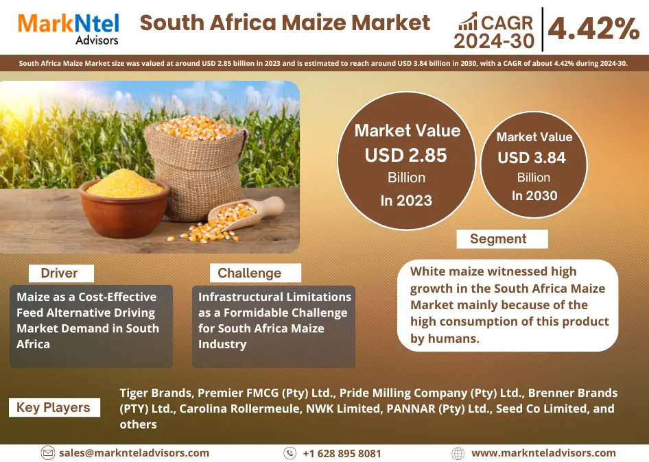 South Africa Maize Market Research Report: Forecast (2024-2030)