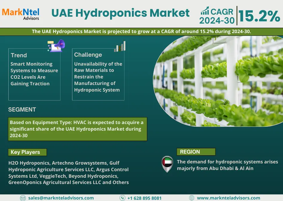 UAE Hydroponics Market Research Report: Forecast (2024-2030)