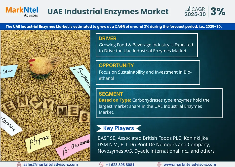 UAE Industrial Enzymes Market Research Report: Forecast (2025-2030)