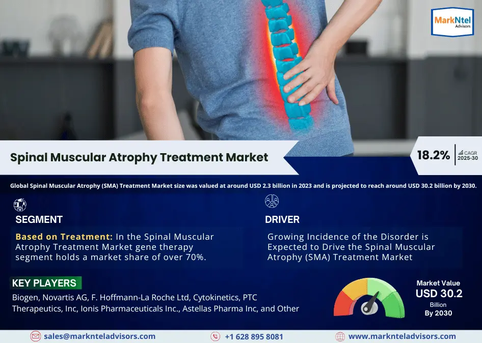 Global Spinal Muscular Atrophy (SMA) Treatment Market Research Report: Forecast (2025-2030)