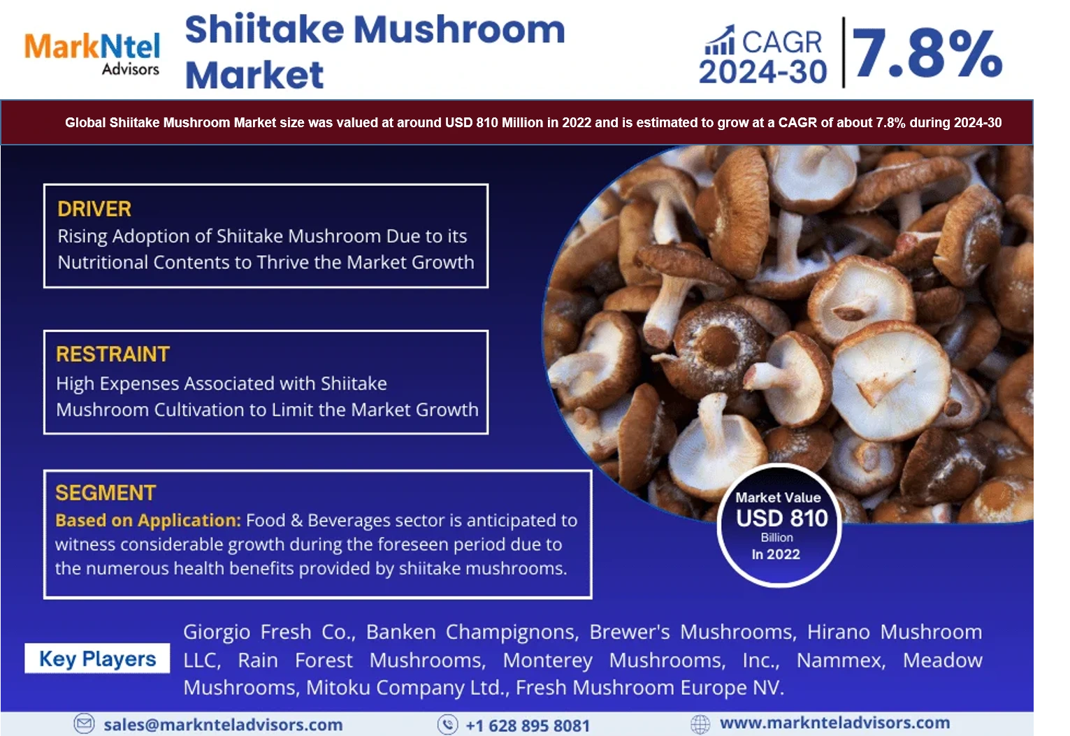 Global Shiitake Mushroom Market Research Report: Forecast (2024-2030)