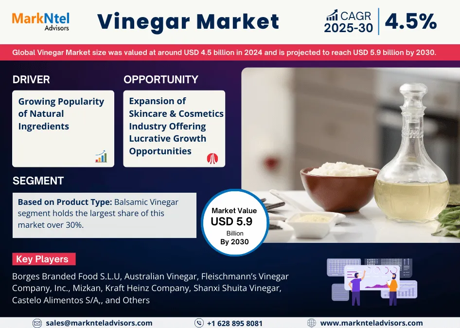 Global Vinegar Market Research Report: Forecast (2025-2030)
