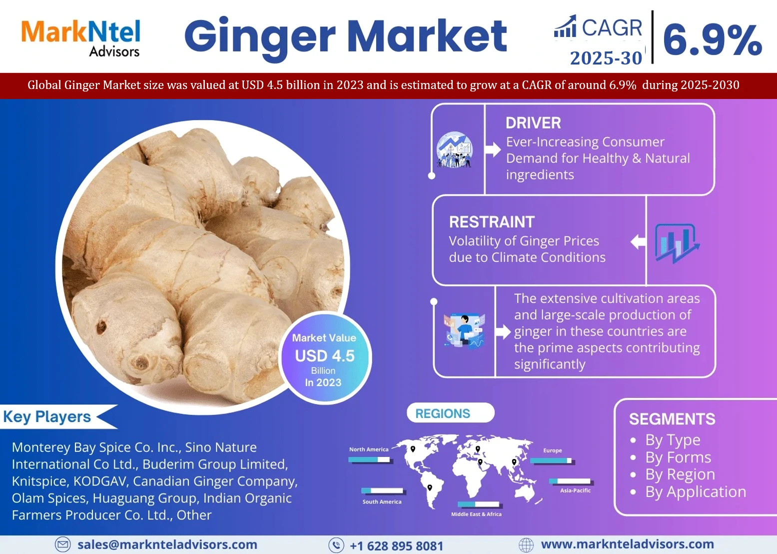Global Ginger Market Research Report: Forecast (2025-2030)