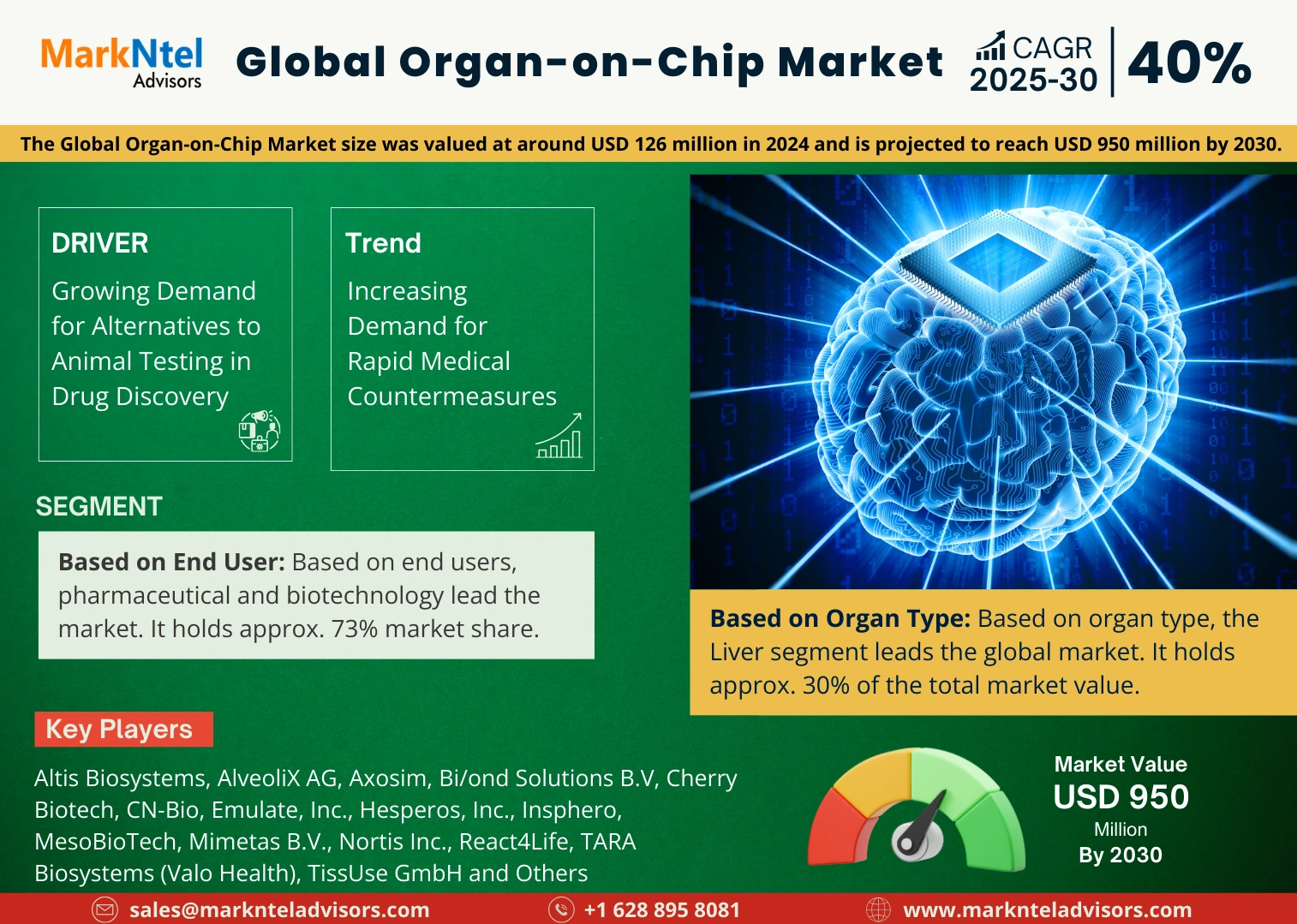 Global Organ-on-Chip Market