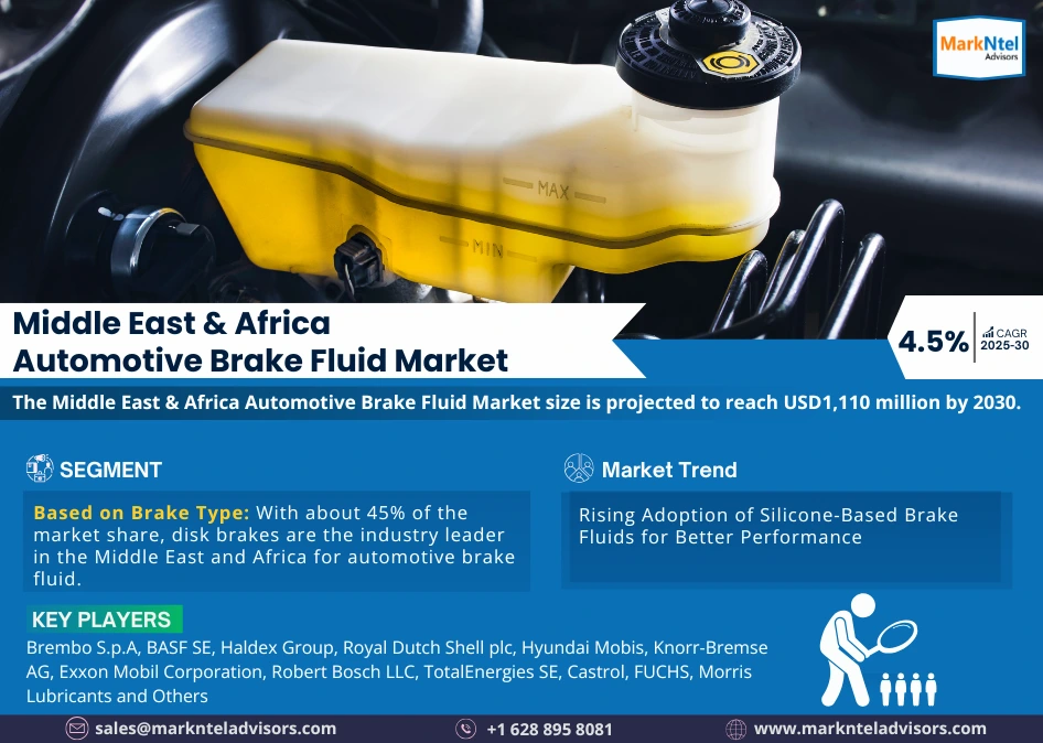 Middle East & Africa Automotive Brake Fluid Market