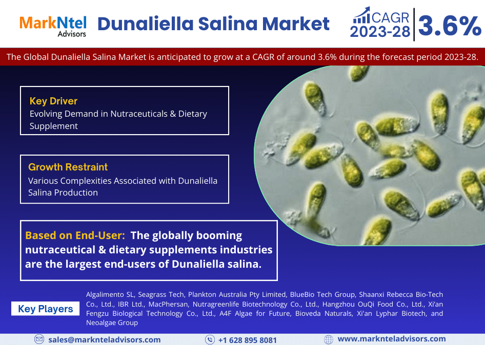 Global Dunaliella Salina Market Research Report: Forecast (2023-2028)