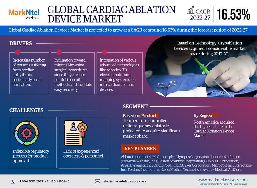Global Cardiac Ablation Devices Market