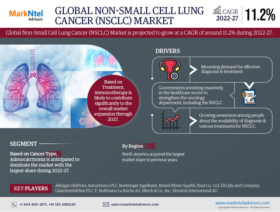 Global Non-Small Cell Lung Cancer Market