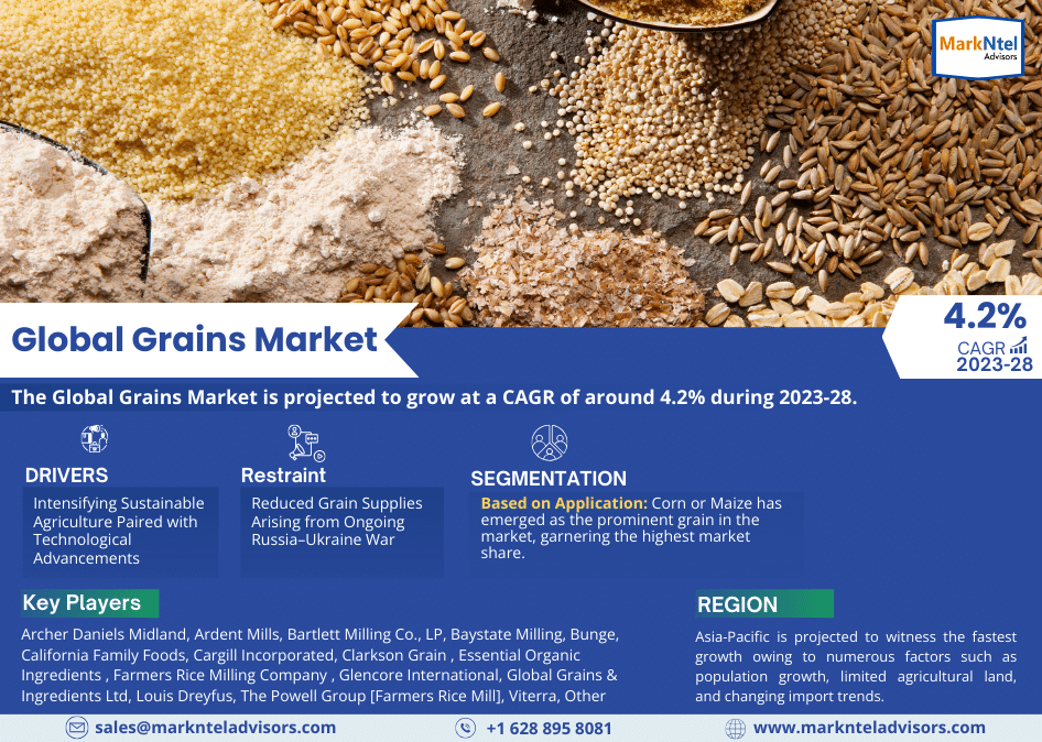 Global Grains Market