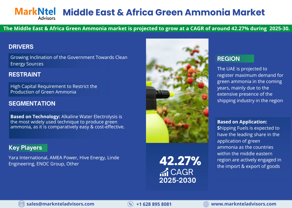 Middle East & Africa Green Ammonia Market Research Report: Forecast (2025-2030)