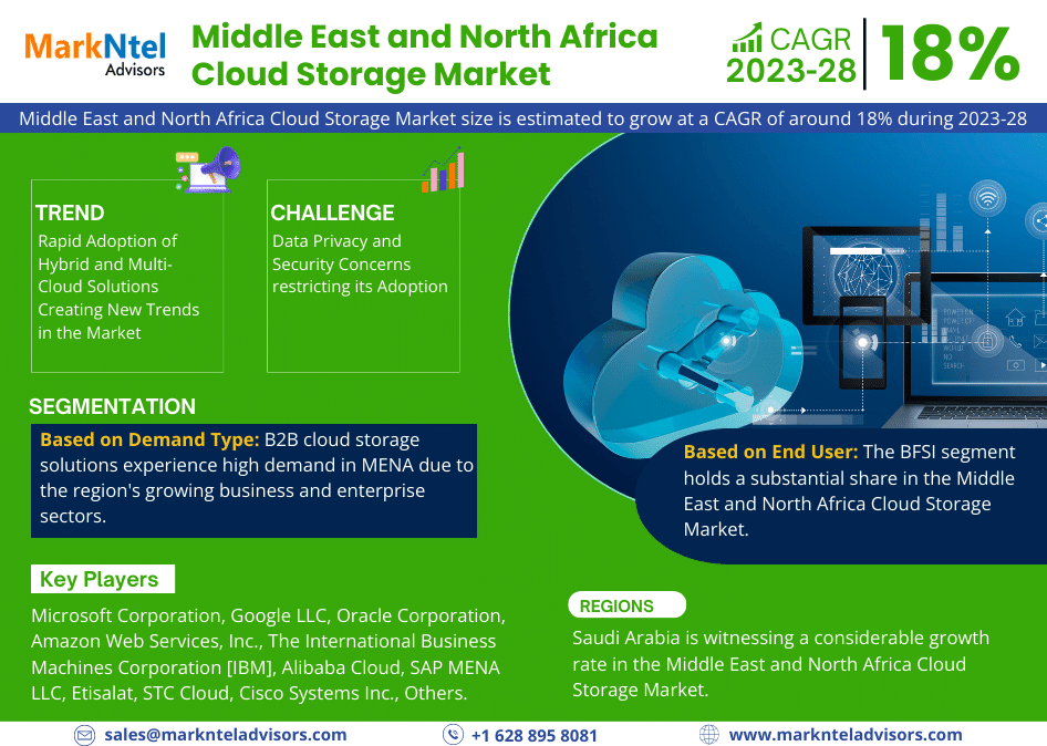 Middle East and North Africa Cloud Storage Market