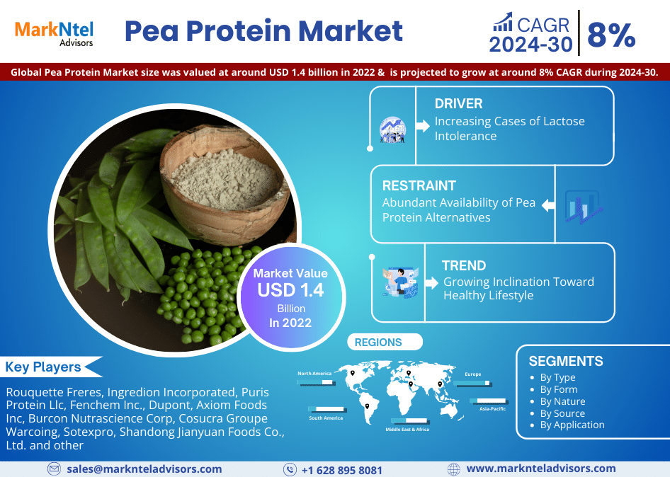 Global Pea Protein Market