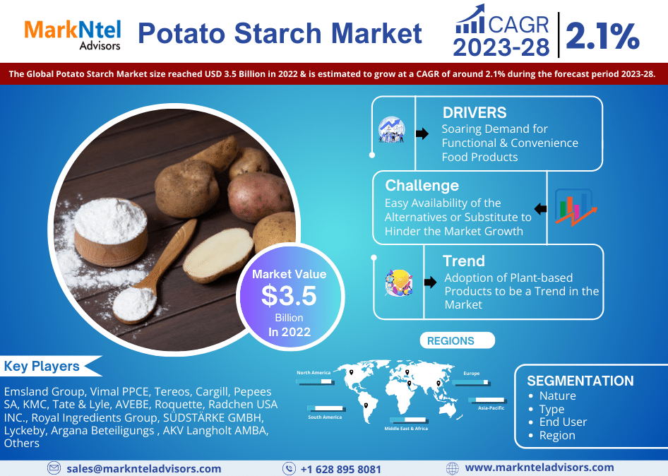 Global Potato Starch Market