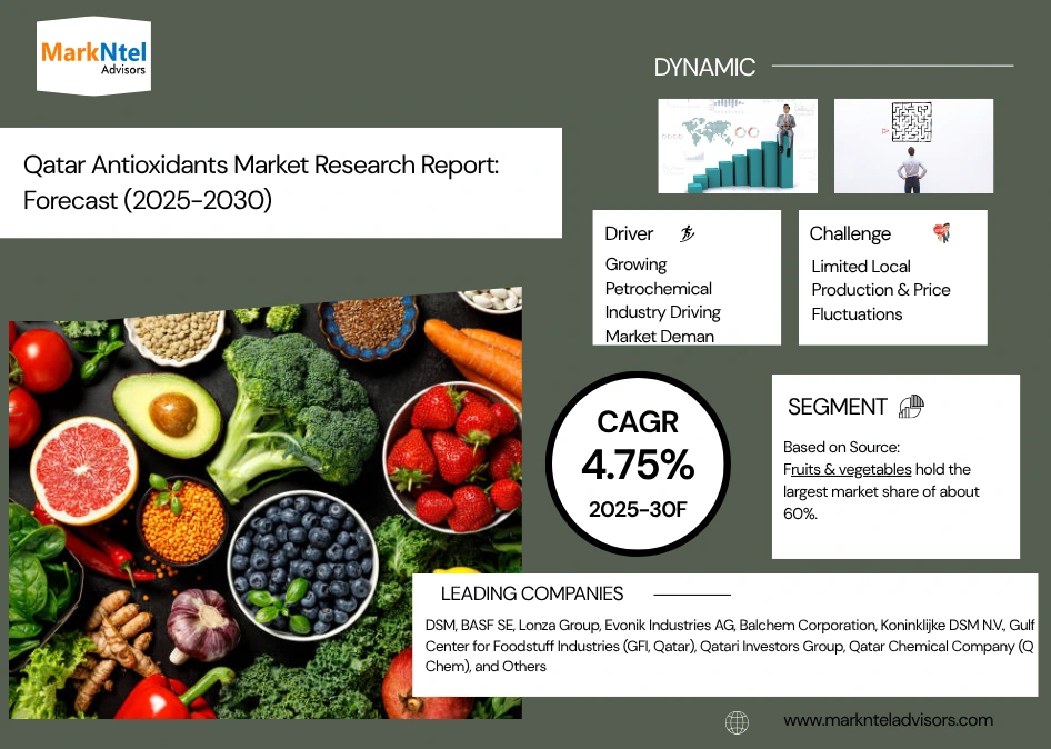 Qatar Antioxidants Industry Trends