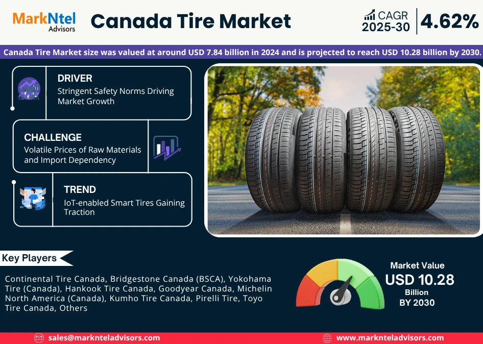 Canada Tire Market Research Report - Statistics & Charts