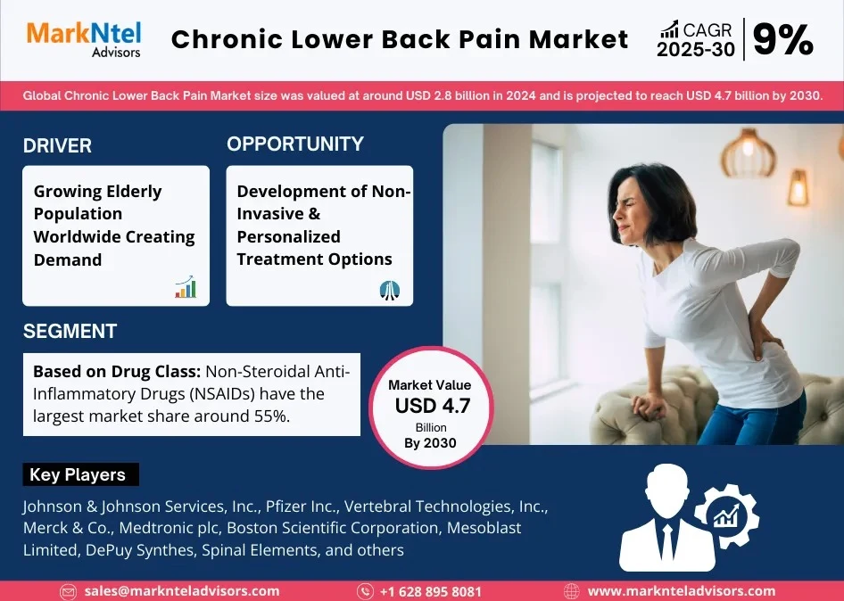 Global Chronic Lower Back Pain Market Research Report: Forecast (2025-2030)