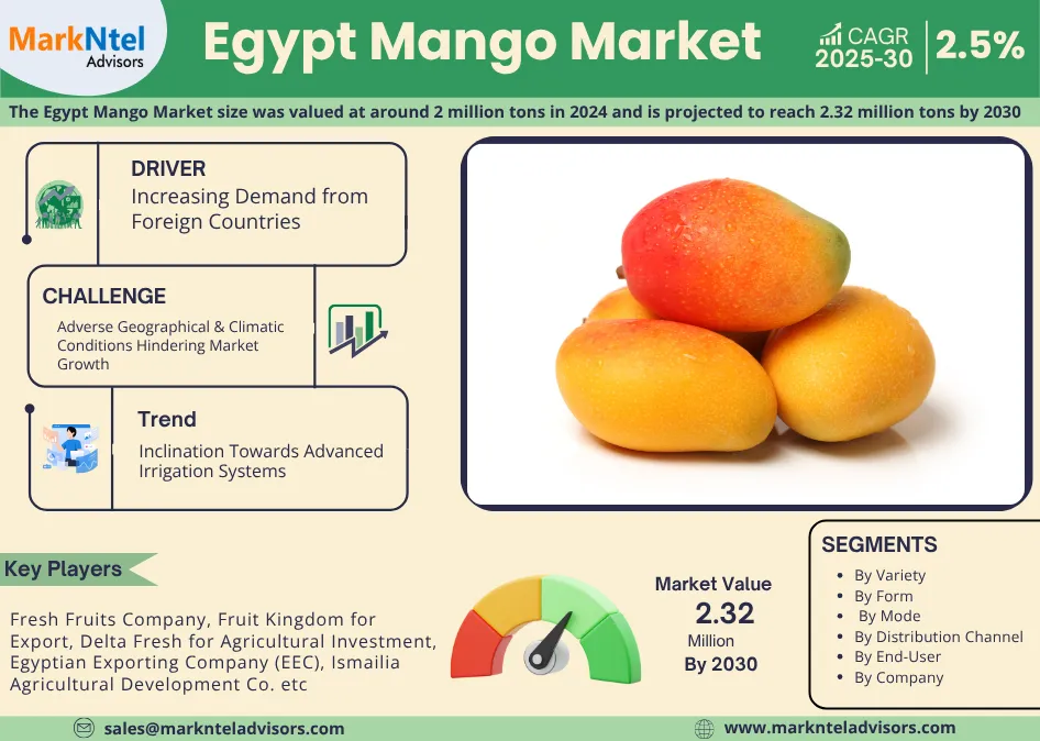Egypt Mango Market Size, Growth, Trends & Insights 2025-30 Report