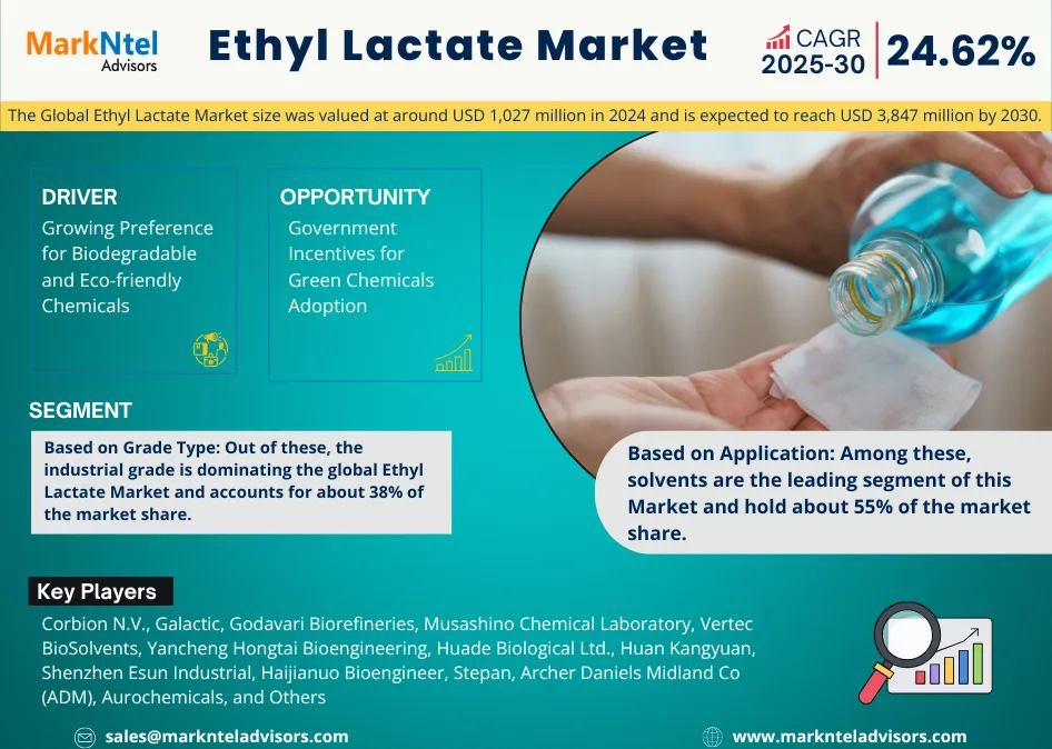 Ethyl Lactate Market
