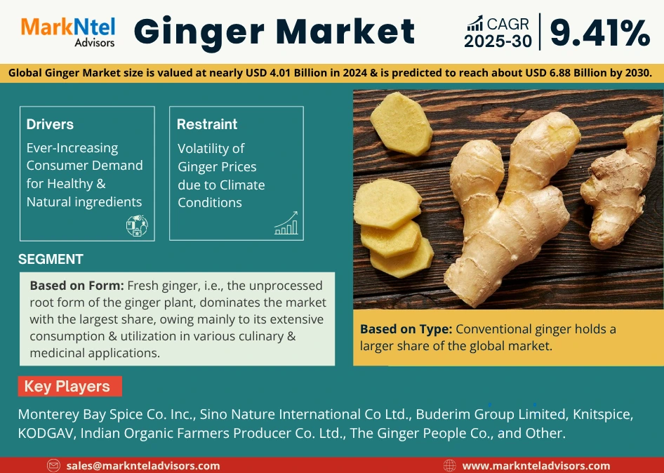 Global Ginger Market