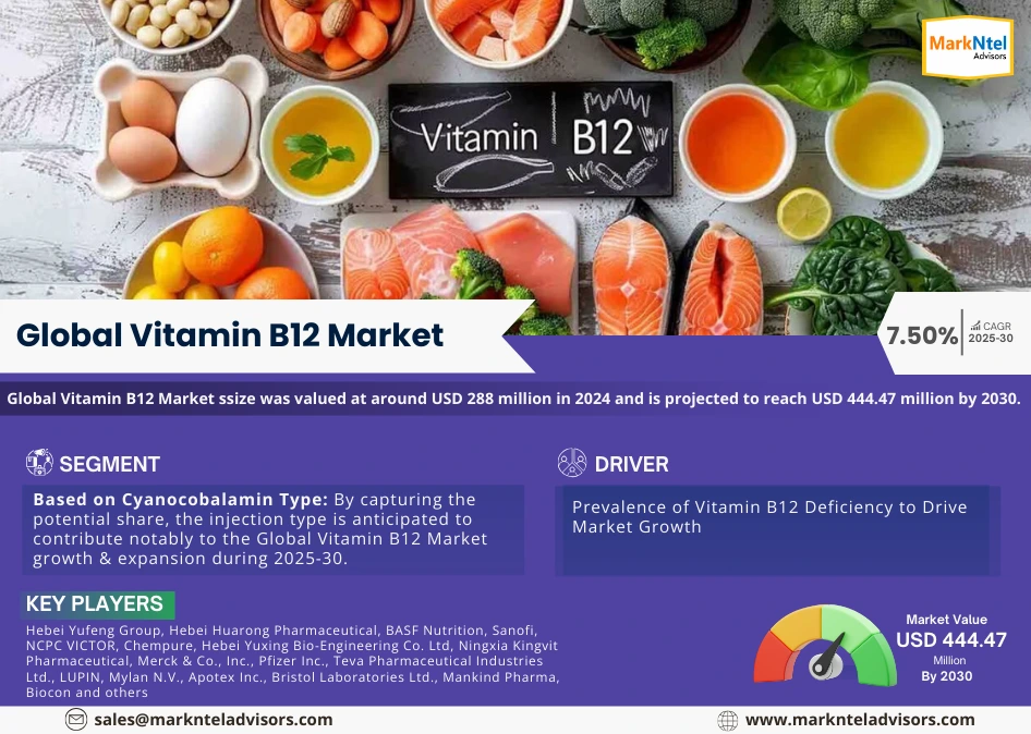 Global Vitamin B12 Market