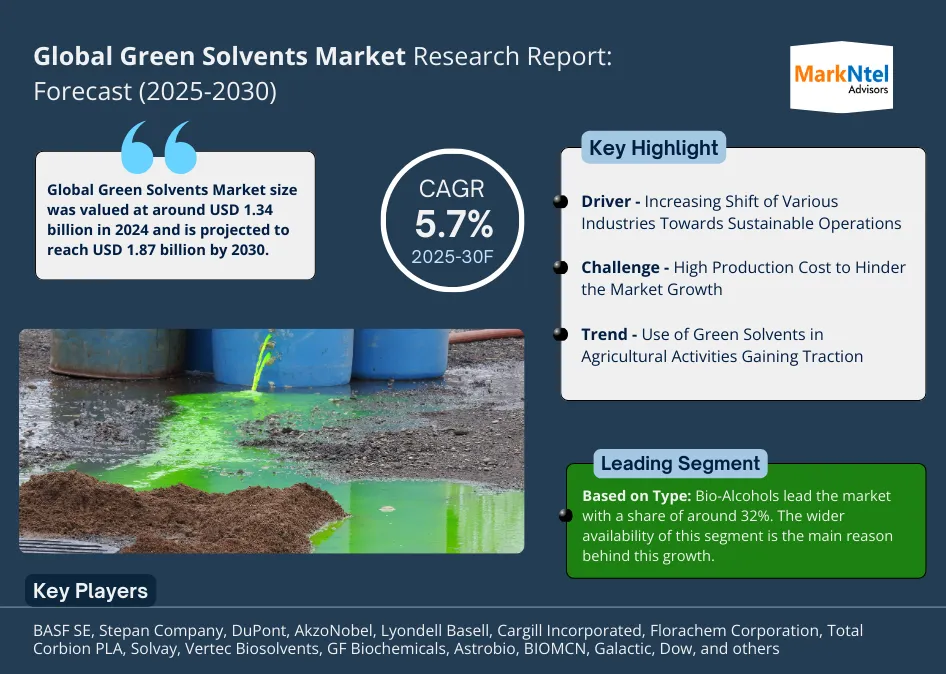 Global Green Solvents Market Research Report: Forecast (2025-2030)