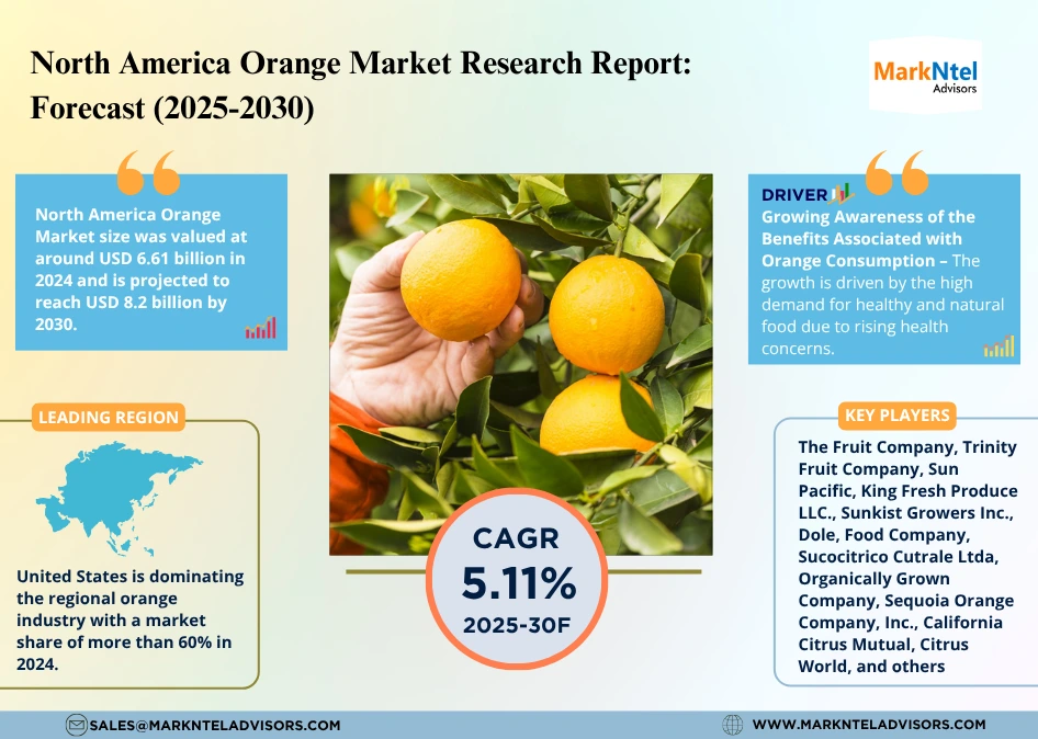 North America Orange Market