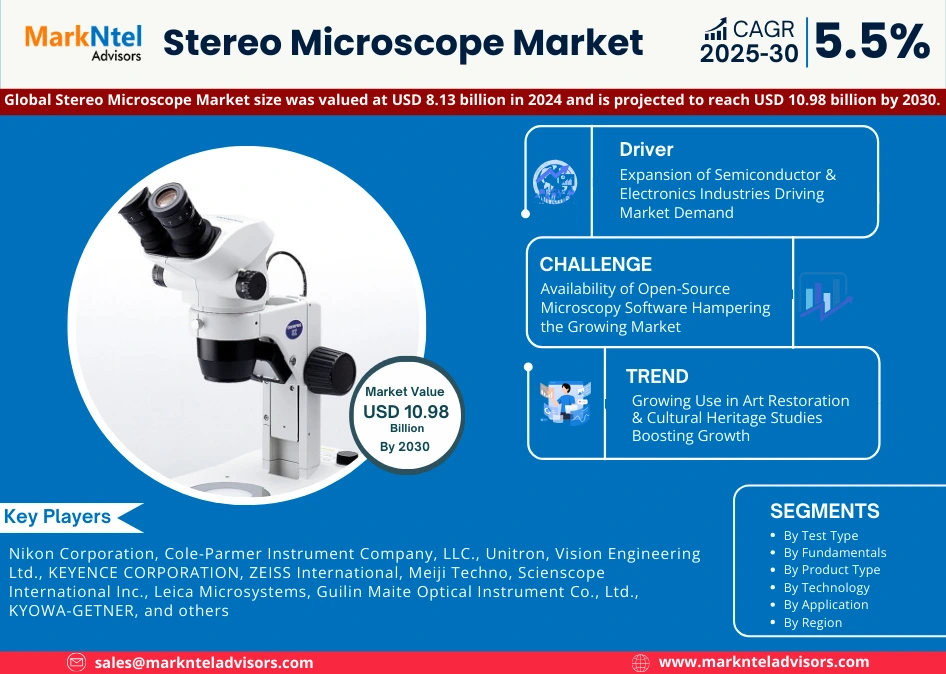 Global Stereo Microscope Market