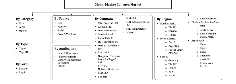 Marine Collagen Market Segmentation