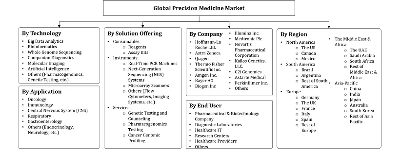 Precision Medicine Market Segmentation