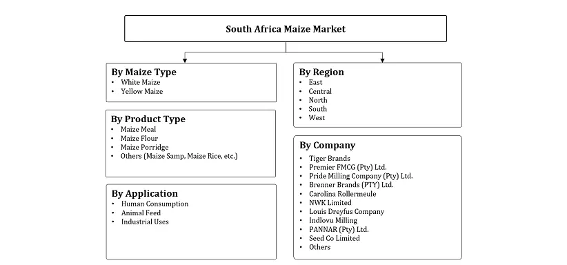 South Africa Maize Market Segmentation Slide