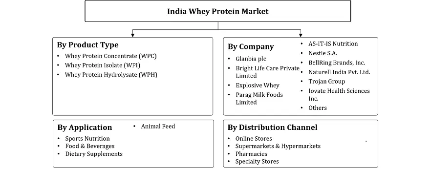 India Whey Protein Market Segmentation