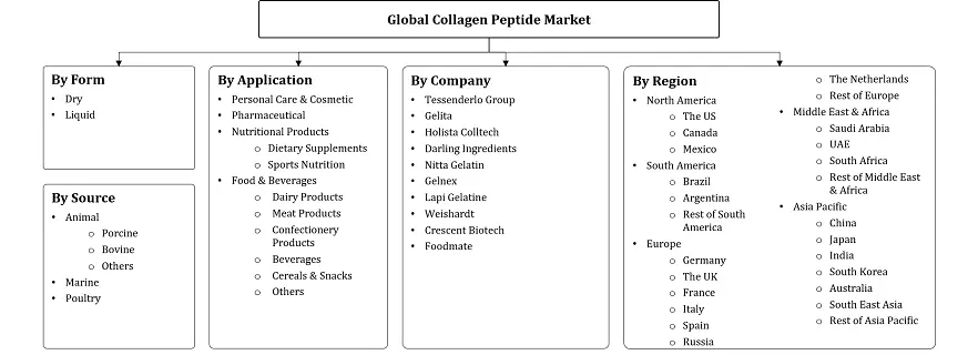 Collagen Peptides Market Segmentation