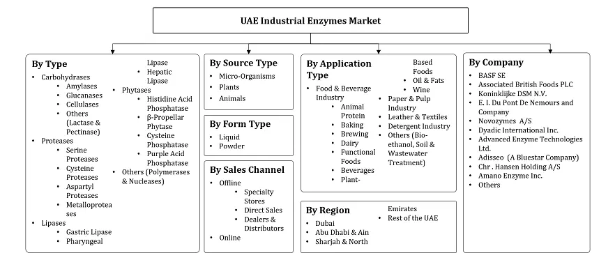 UAE Industrial Enzymes Market Segmentation