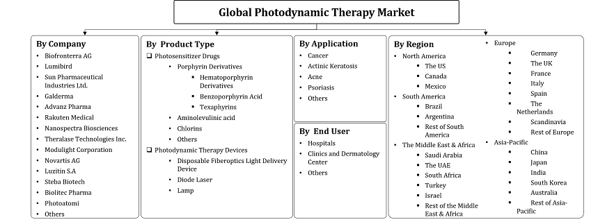Photodynamic Therapy Market Segmentation