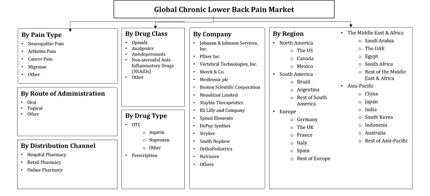 Chronic Lower Back Pain Market Segmentation