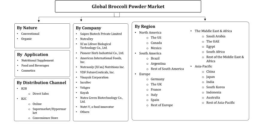 Broccoli Powder Market Segmentation