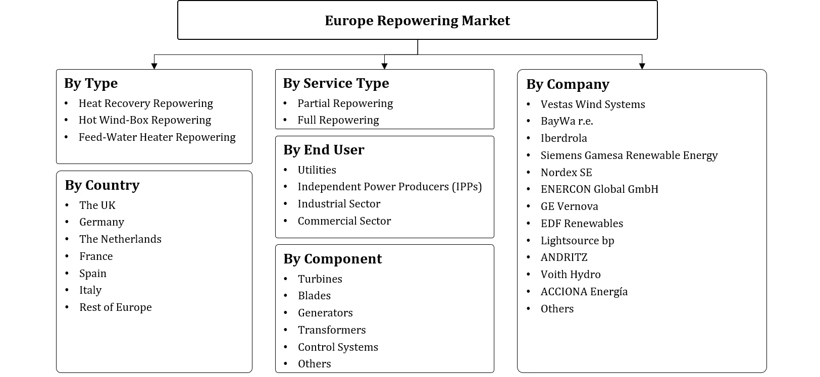 Europe Repowering Market Segmentation