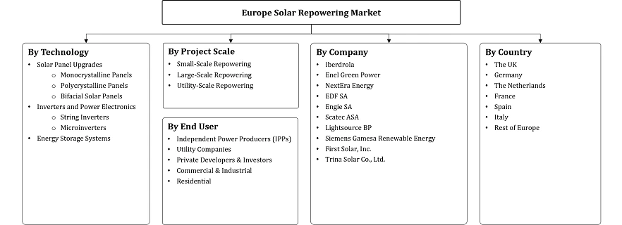 Europe Solar Repowering Market Segmentation