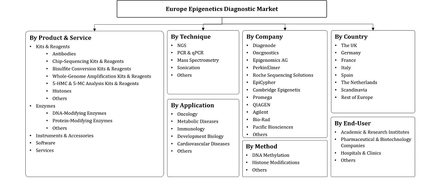 Europe Epigenetics Diagnostic Market Segmentation